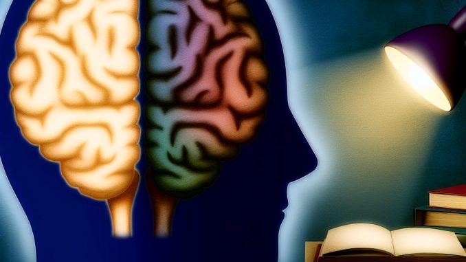 why-we-only-use-a-fraction-of-our-brain-power Why We Only Use a Fraction of Our Brain Power