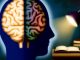 Why We Only Use a Fraction of Our Brain Power
