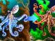 How Octopuses Can Change Color Instantly