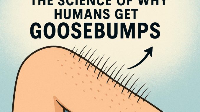 The Science of Why Humans Get Goosebumps The Science of Why Humans Get Goosebumps