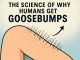 The Science of Why Humans Get Goosebumps