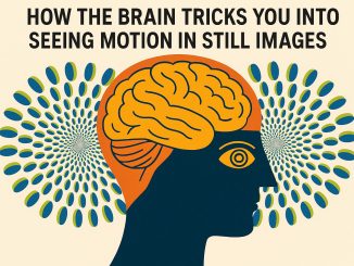 How the Brain Tricks You Into Seeing Motion in Still Images