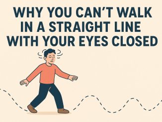 Why You Can’t Walk in a Straight Line with Your Eyes Closed