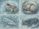 How Some Animals Can Survive Being Frozen