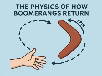The Physics of How Boomerangs Return