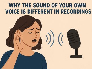 Why the Sound of Your Own Voice is Different in Recordings